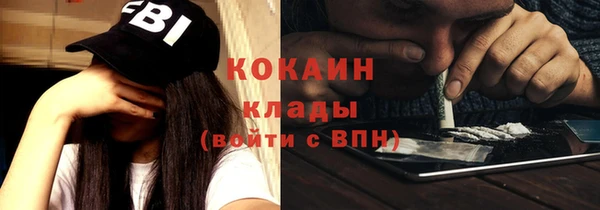 apvp Гатчина
