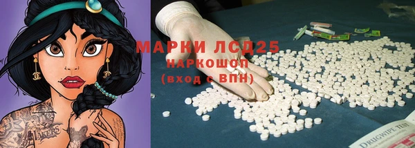 spice Галич