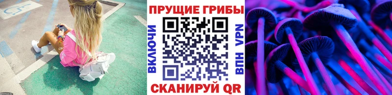 Псилоцибиновые грибы ЛСД  купить наркотики цена  Северская 